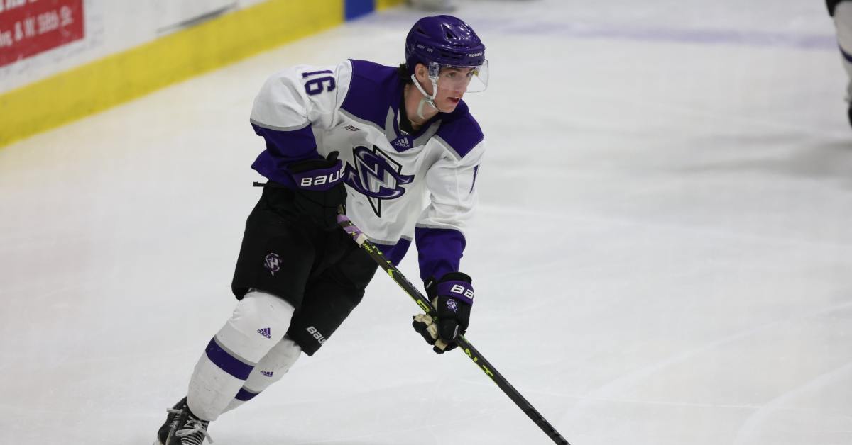 2024 NHL Draft: Top-5 USHL Players Ending The Season Off Strong - The ...