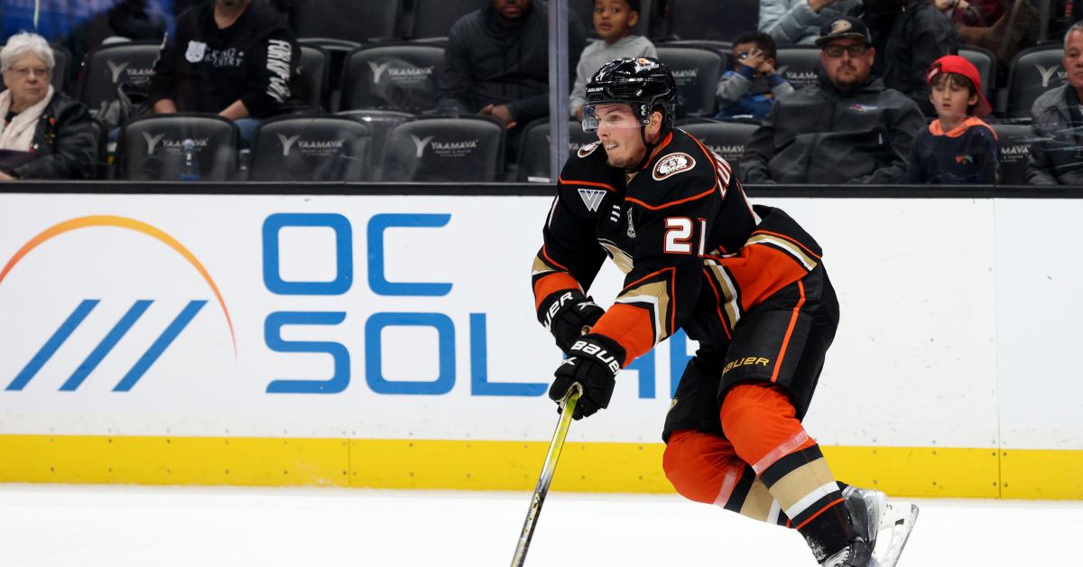 How The Offseason Stacks Up For Ducks RFA Isac Lundestrom - The Hockey ...