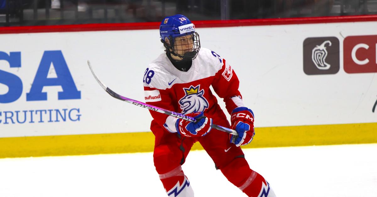 Toronto Sceptres Draft Pick Noemi Neubauerova Will Start Season In Switzerland The Hockey News 