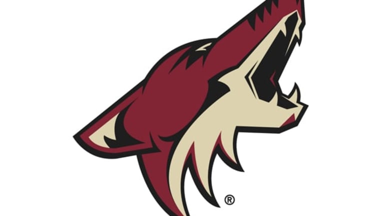 A Good Look That's Looking Really Good, Arizona Coyotes