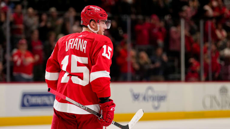 Red Wings' Jakub Vrana placed in NHLPA's player assistance program 