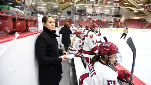 Lee-J Mirasolo Leaves Harvard, Set To Coach Stonehill - The Hockey News ...