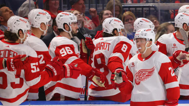 Five Reasons the Detroit Red Wings are a Playoff Team - The Hockey News