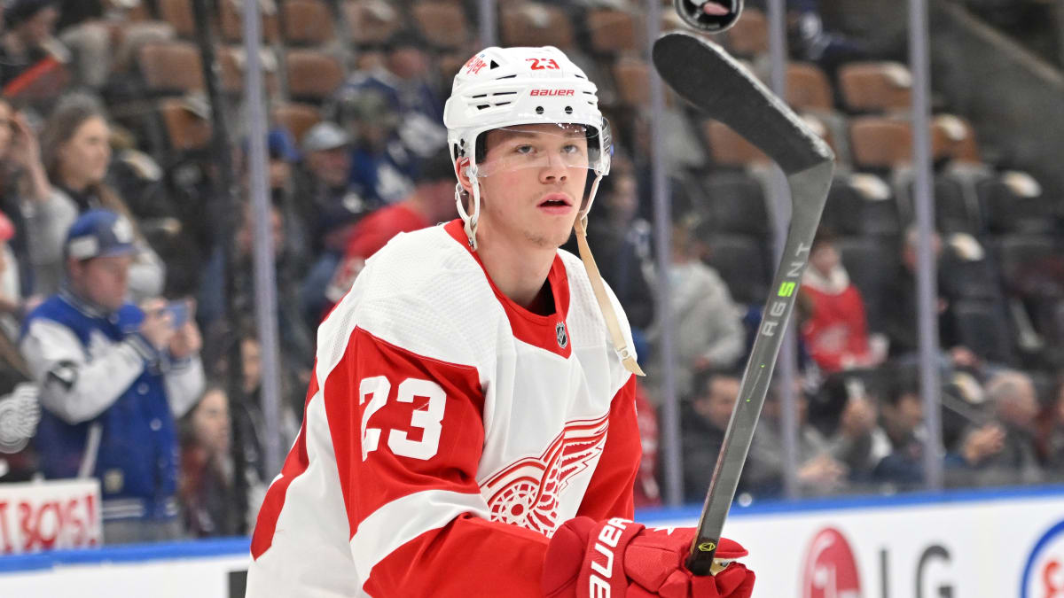 Why Detroit Red Wings have 'really good problems to be working