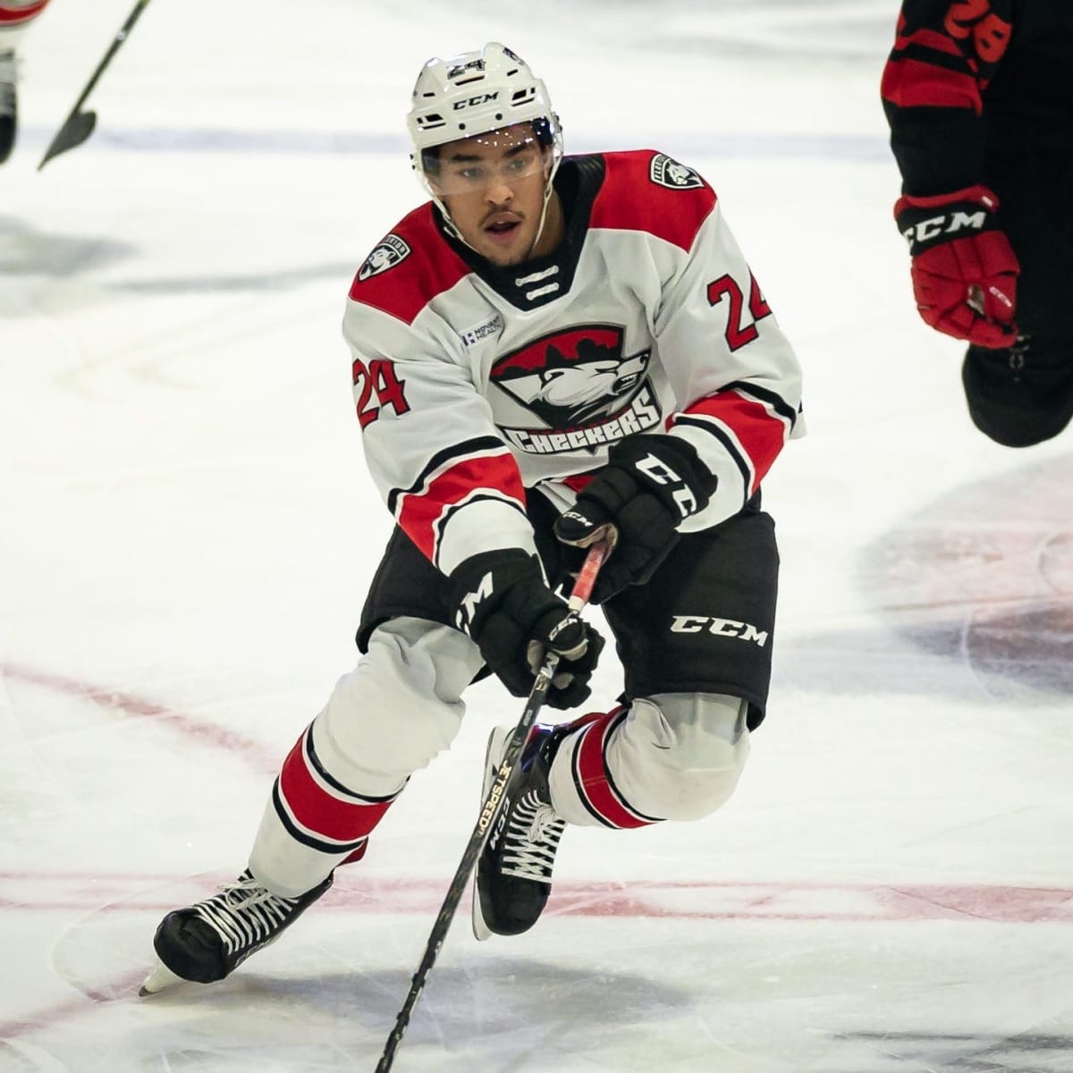 The Charlotte Checkers professional ice hockey franchise