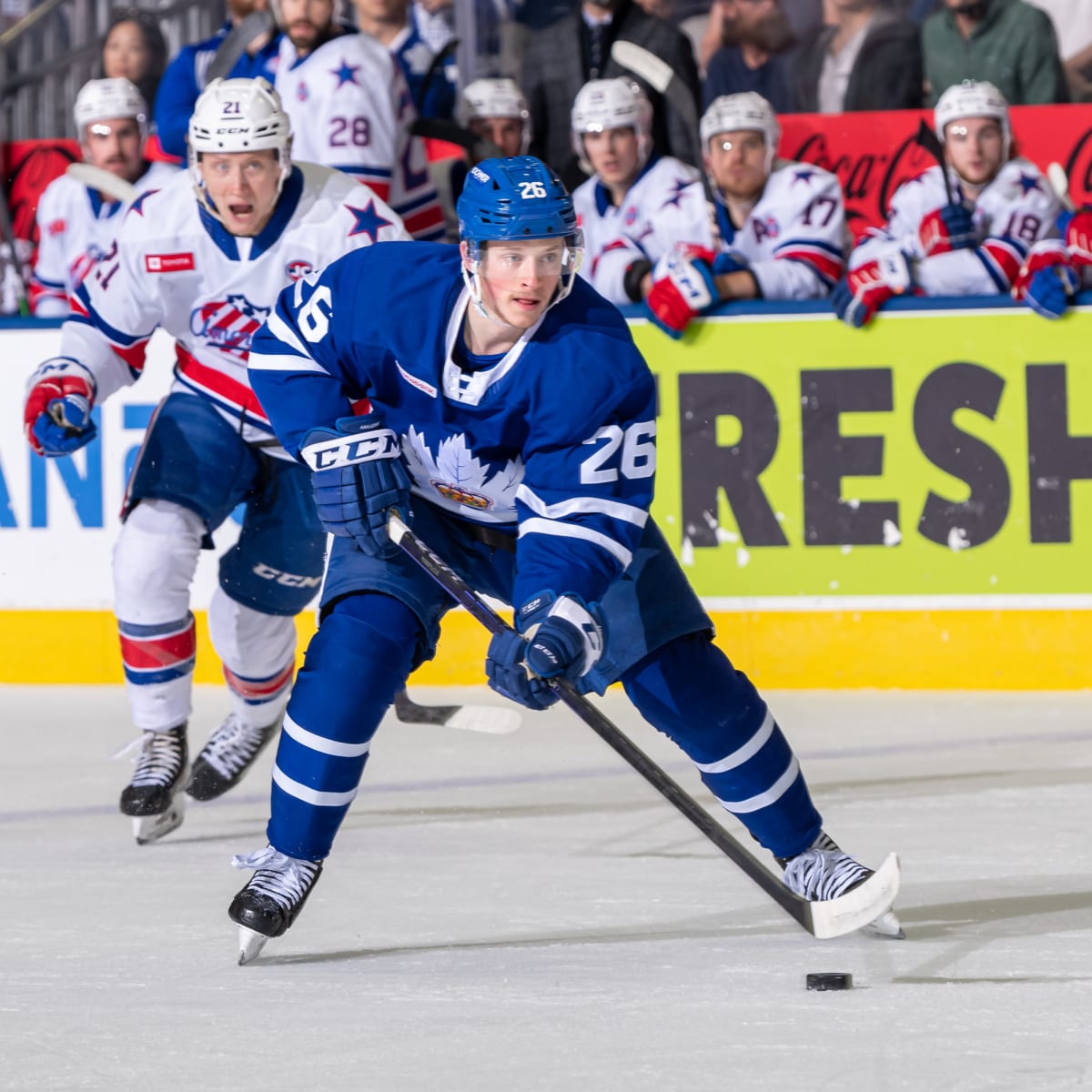 Maple Leafs sign forward Nicholas Abruzzese to two-year, entry-level  contract, iNFOnews
