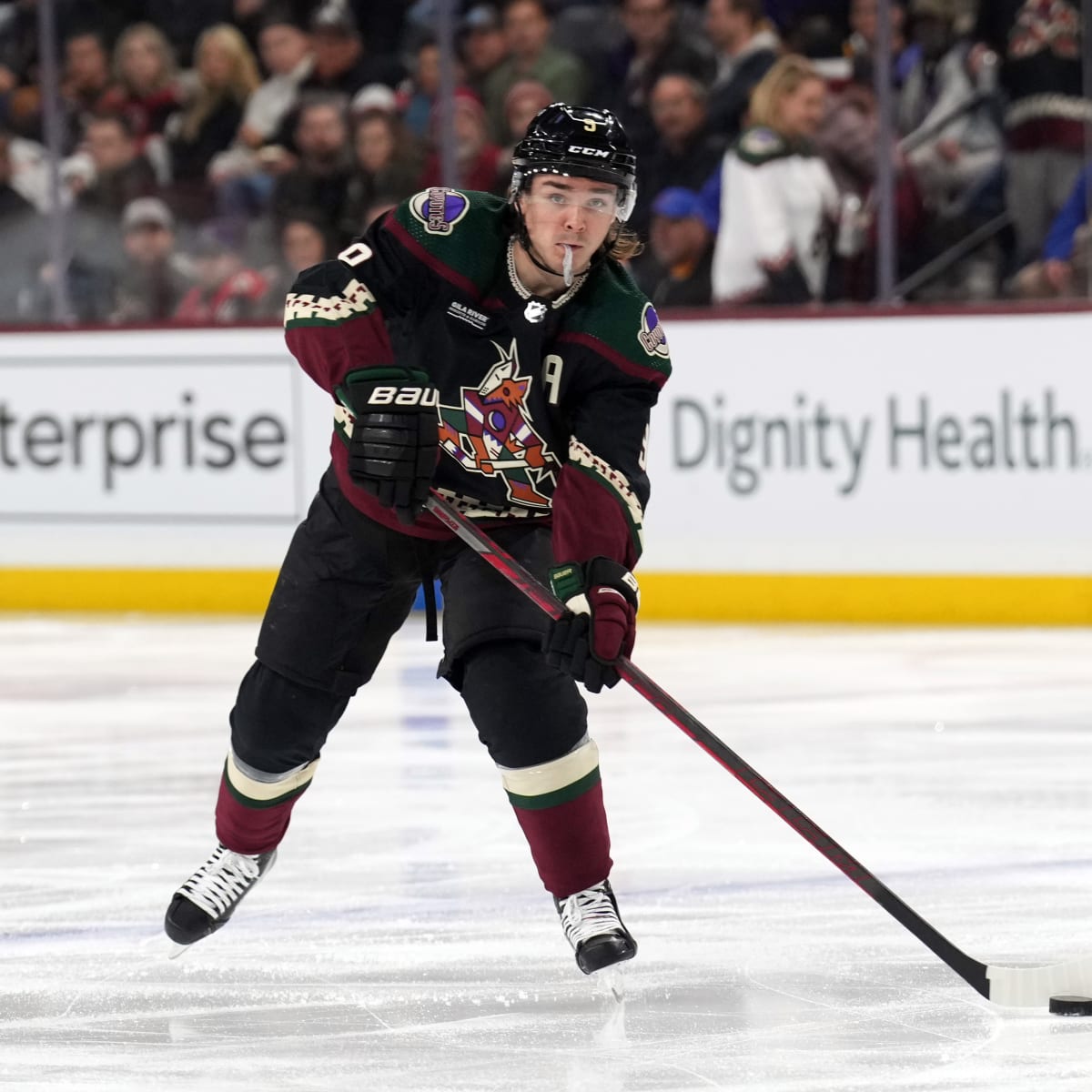 Arizona Coyotes 2023-24 season preview: Playoff chances, projected points,  roster rankings - The Athletic