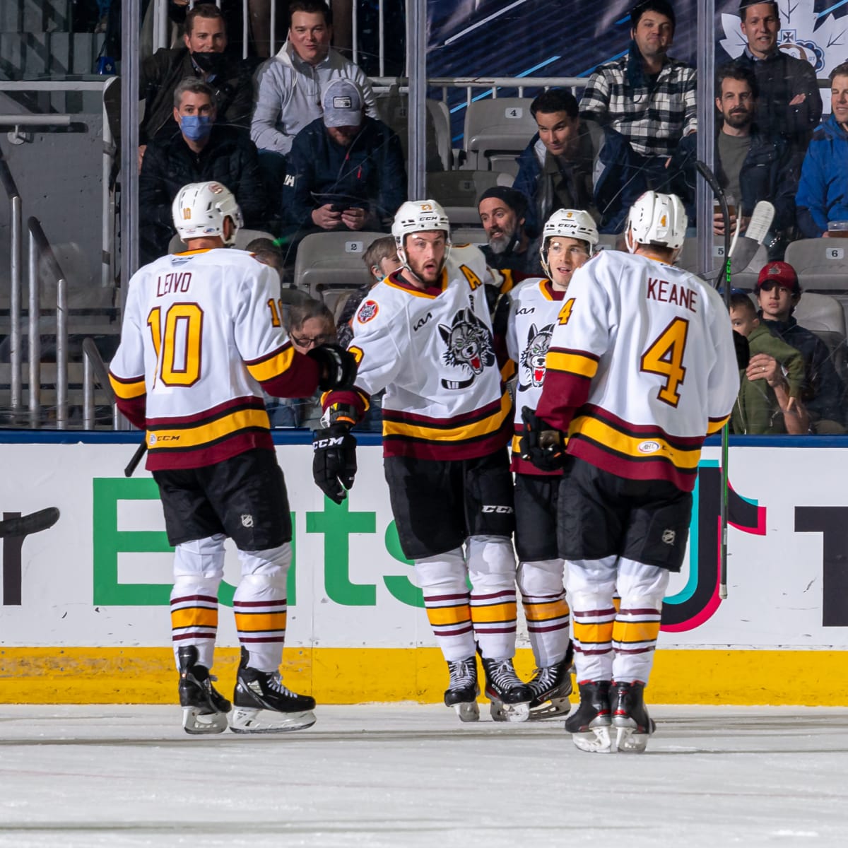 Press Releases - Chicago Wolves Hockey