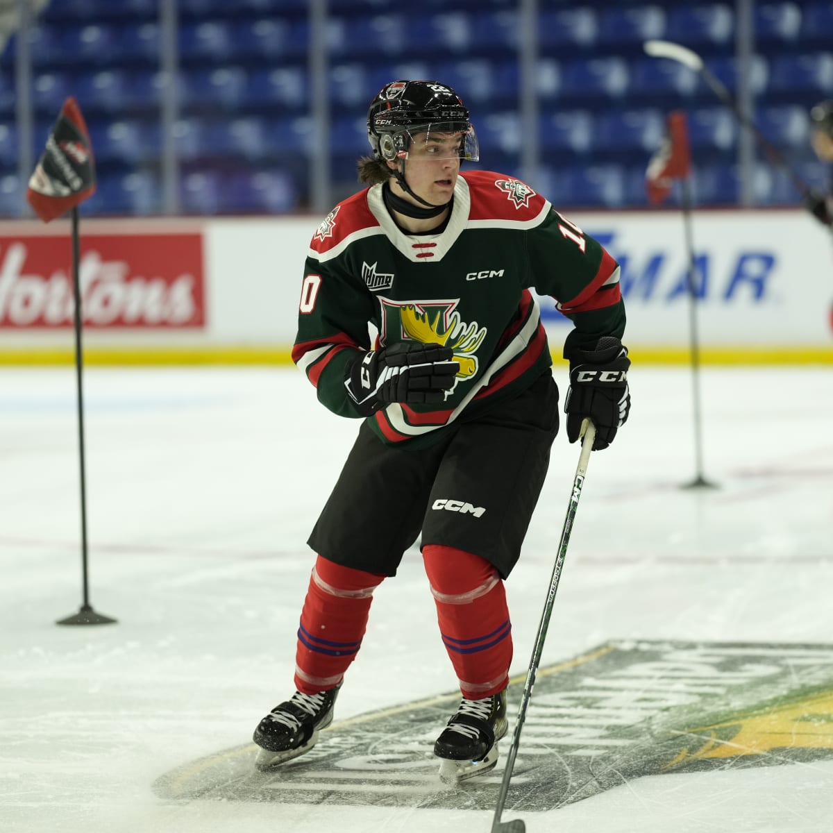 THN On The 'Q': Mooseheads Sold and Coyotes Prospects, The Hockey News
