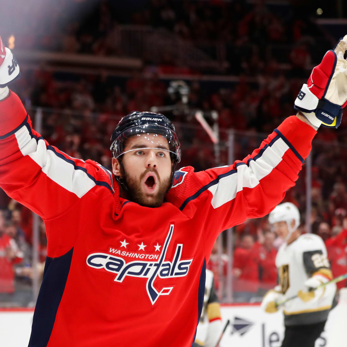 Capitals: Tom Wilson adopts a new puppy called Halle