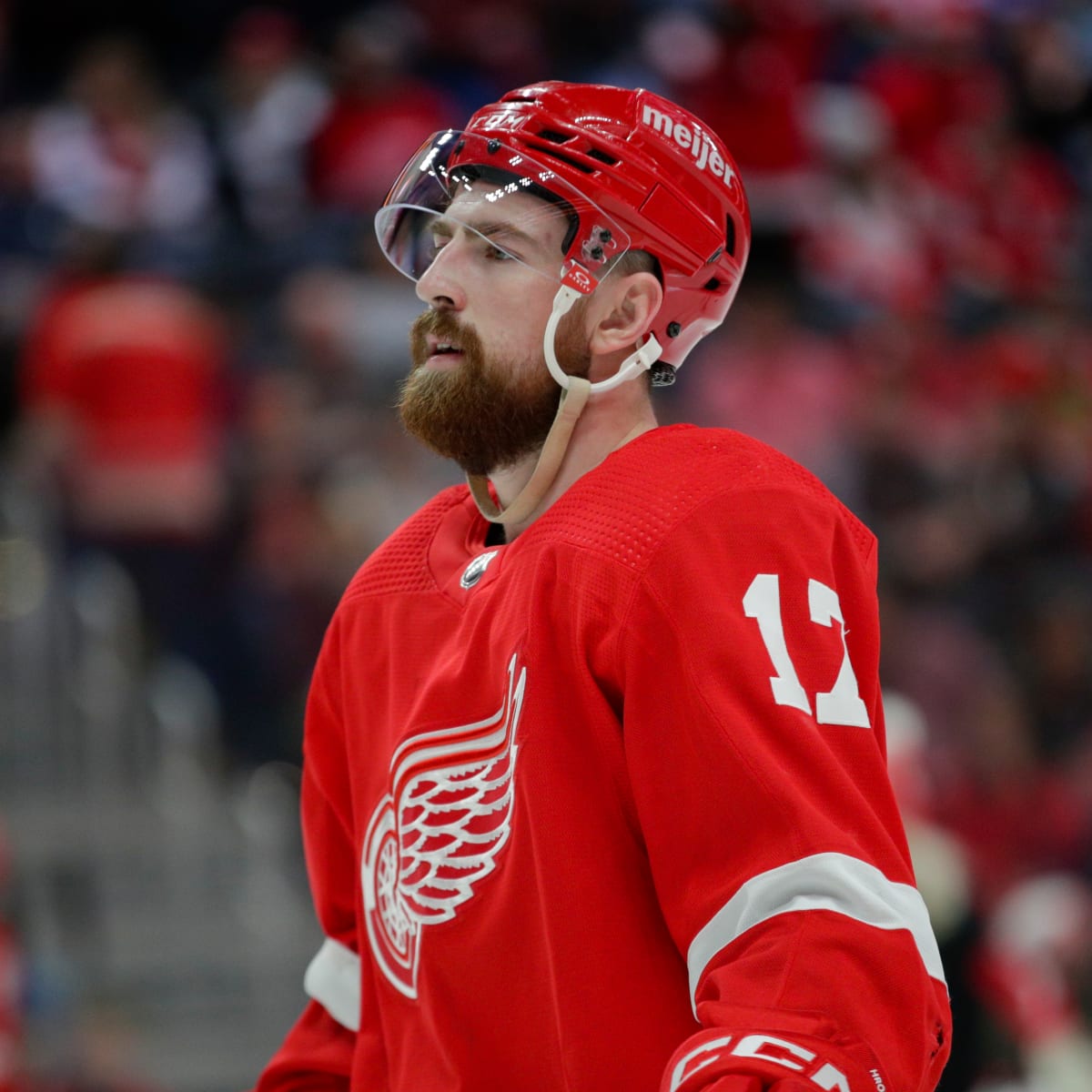 Detroit Red Wings Announce Meijer Logo to Appear on Player Helmets - In  Play! magazine