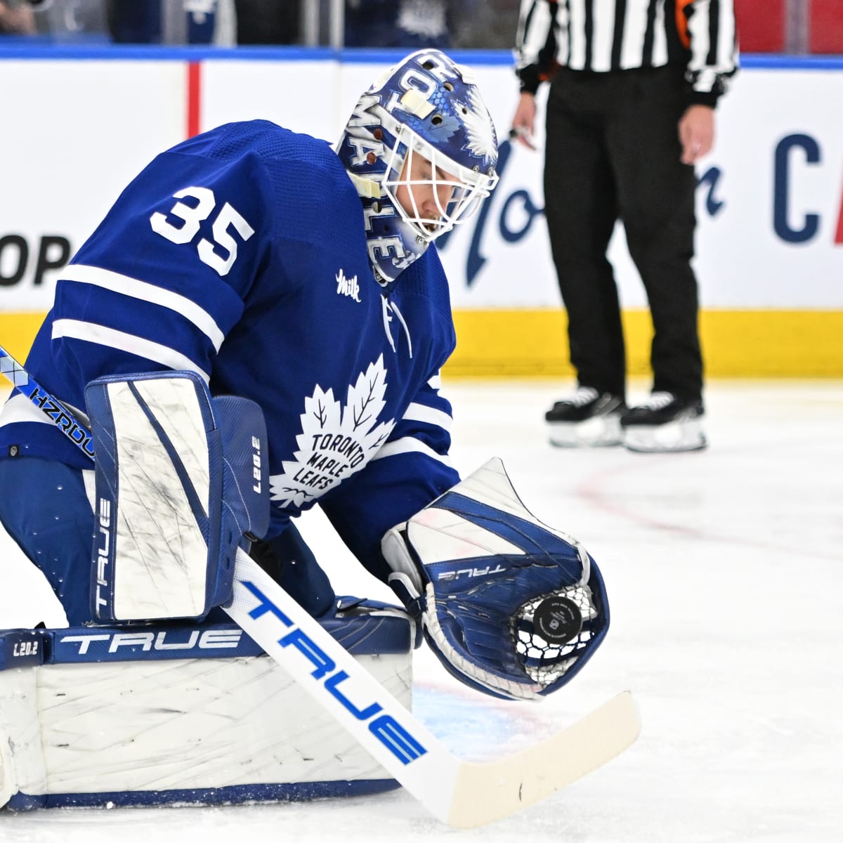 Explaining the Toronto Maple Leafs' End-of-Season Goalie Shuffling - The  Hockey News