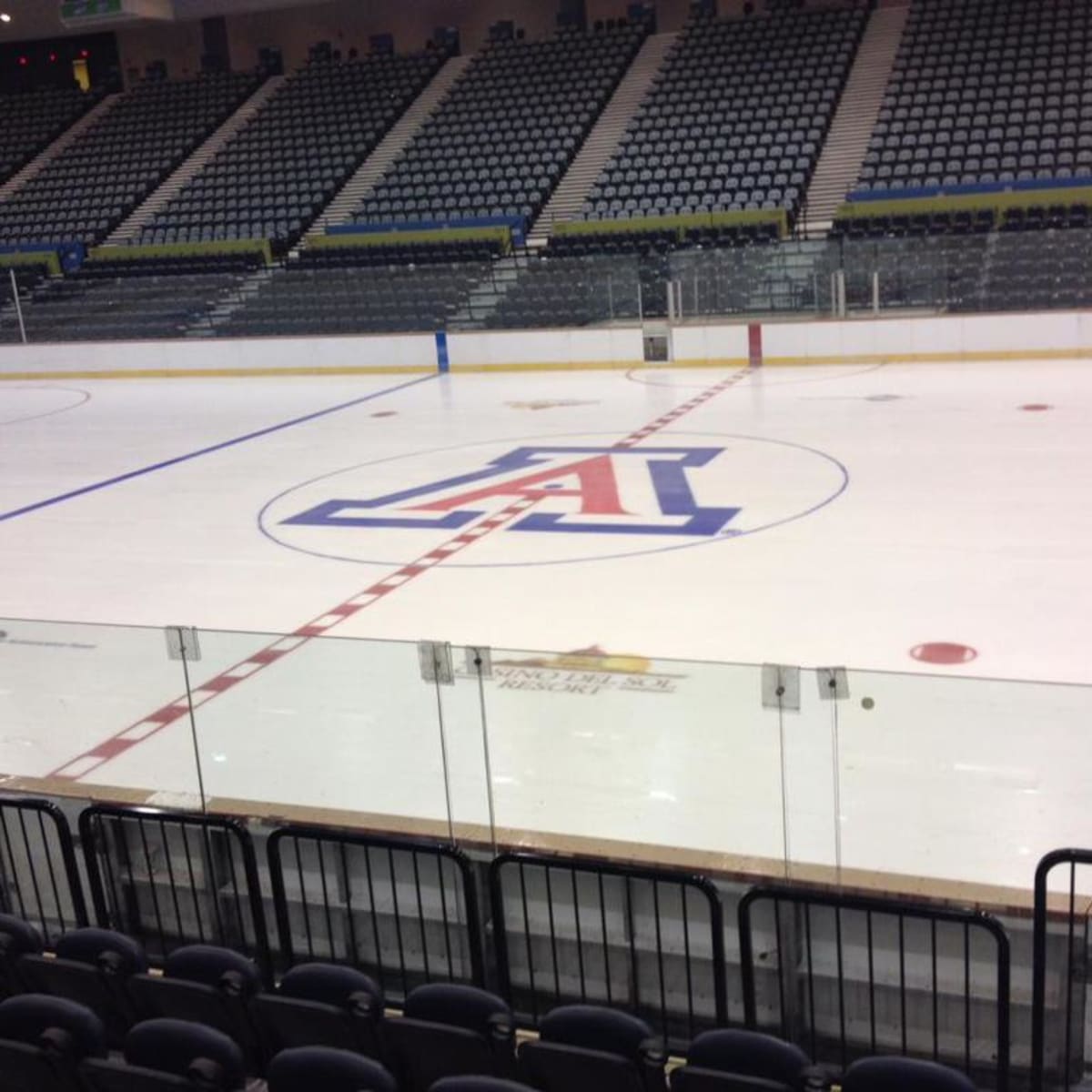 Arizona Wildcat Hockey