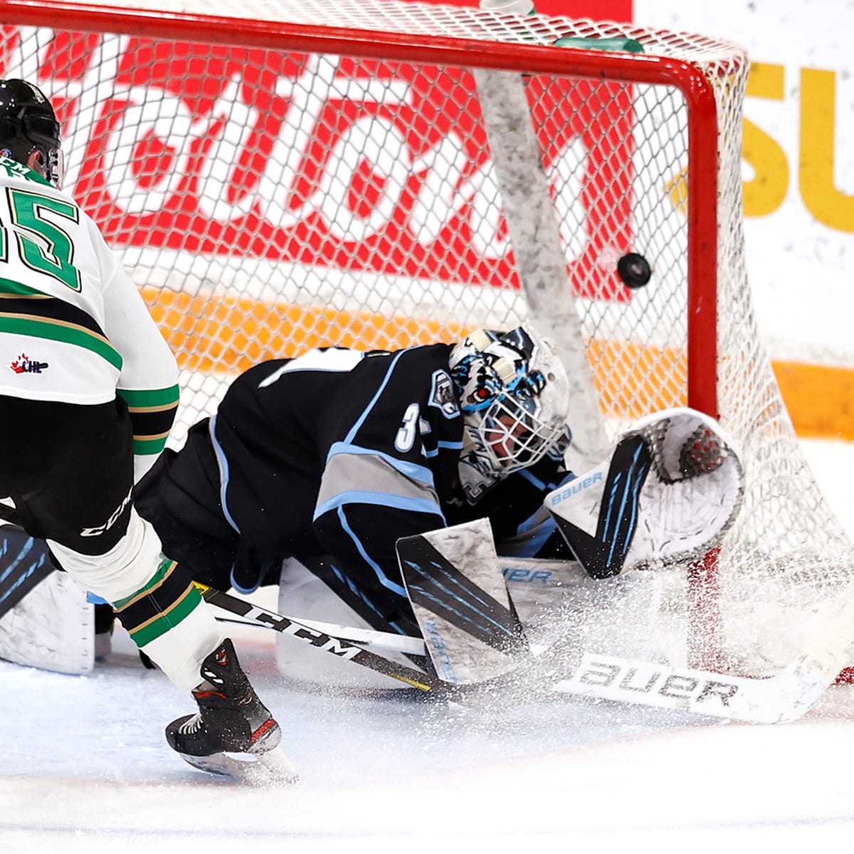 WHL's Winnipeg Ice to Become Wenatchee Wild - The Hockey News
