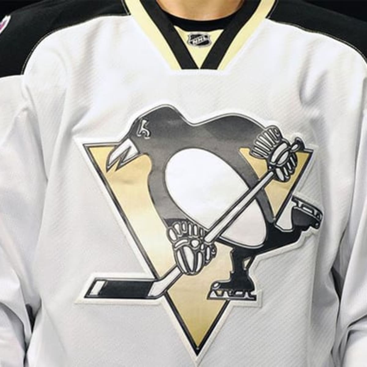 Pittsburgh Penguins Stadium Series Jersey — UNISWAG