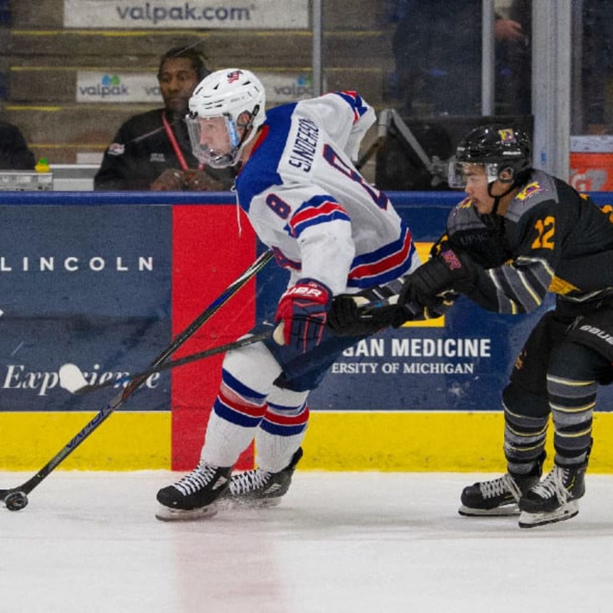 Jake Sanderson: Rising Star on Defense in the 2020 NHL Draft Class - BVM  Sports