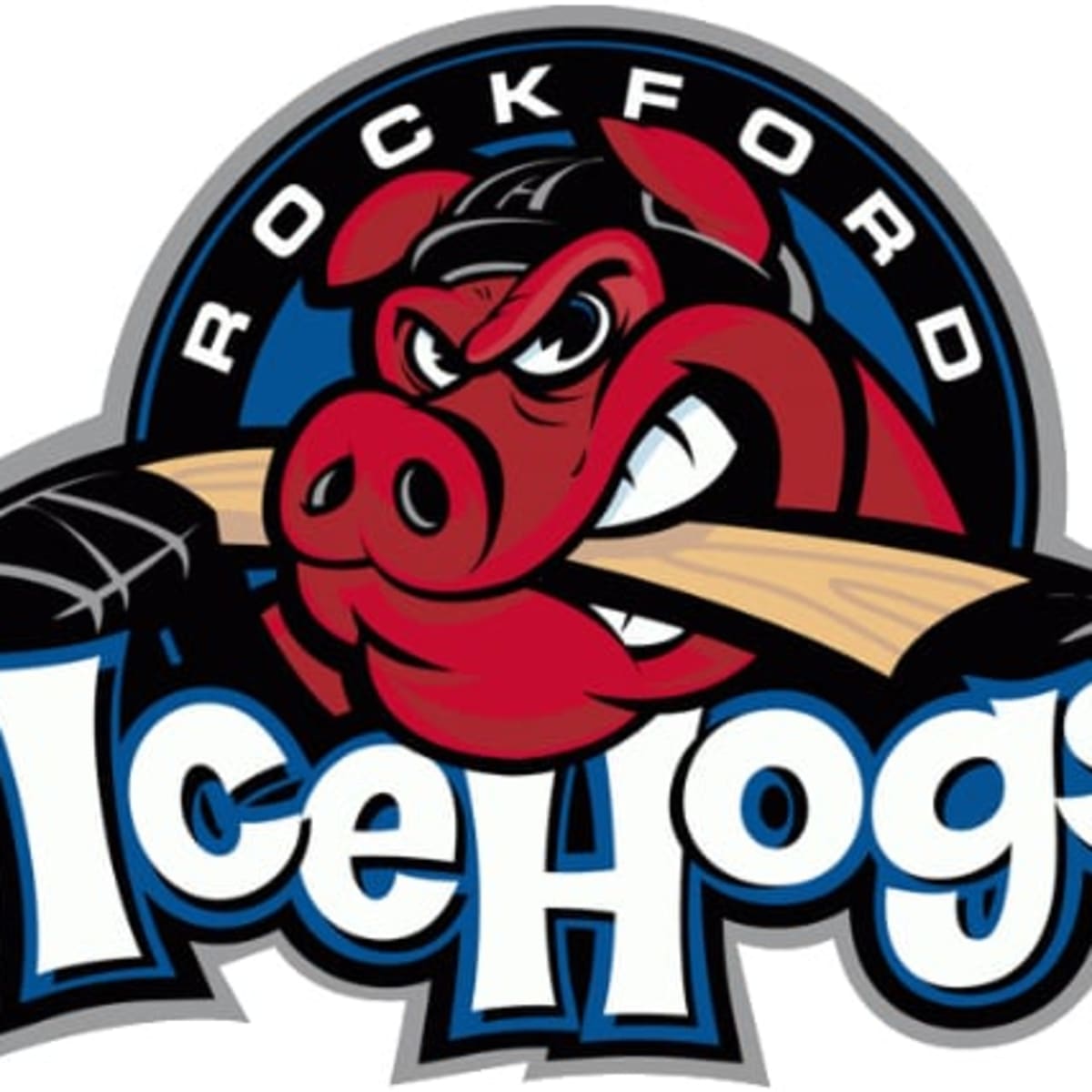  (CI) Mascot Hockey Card 2005-06 Rockford Ice Hogs 25 Mascot :  פריטי אספנות ואמנות