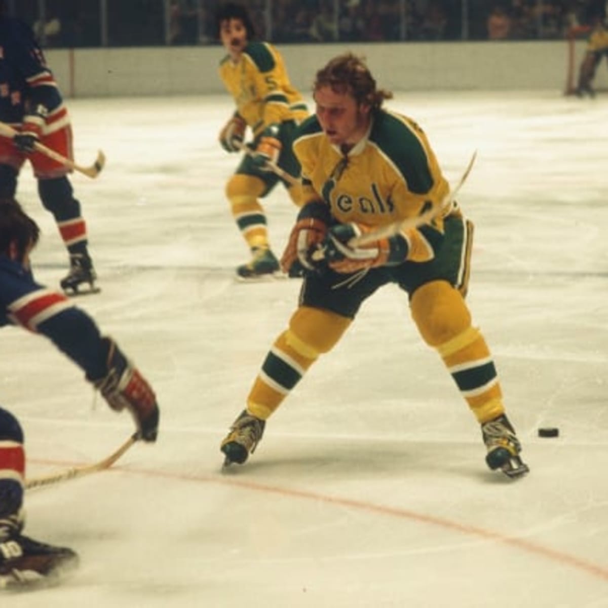 1971–72 California Golden Seals season, Ice Hockey Wiki