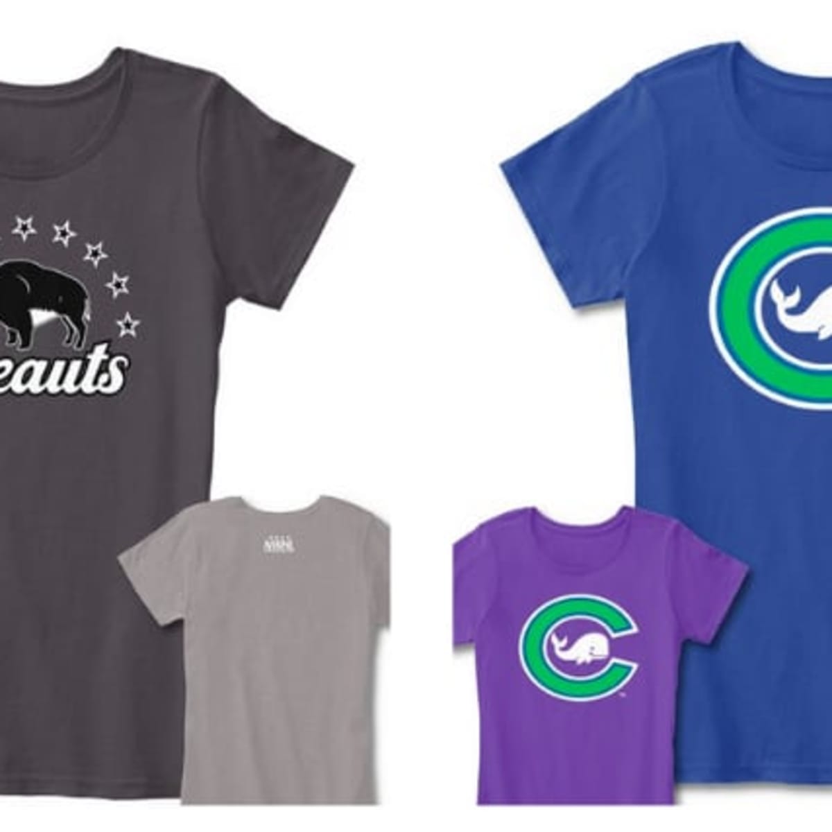 NWHL alters logos for Buffalo, Connecticut, online store - The Hockey News