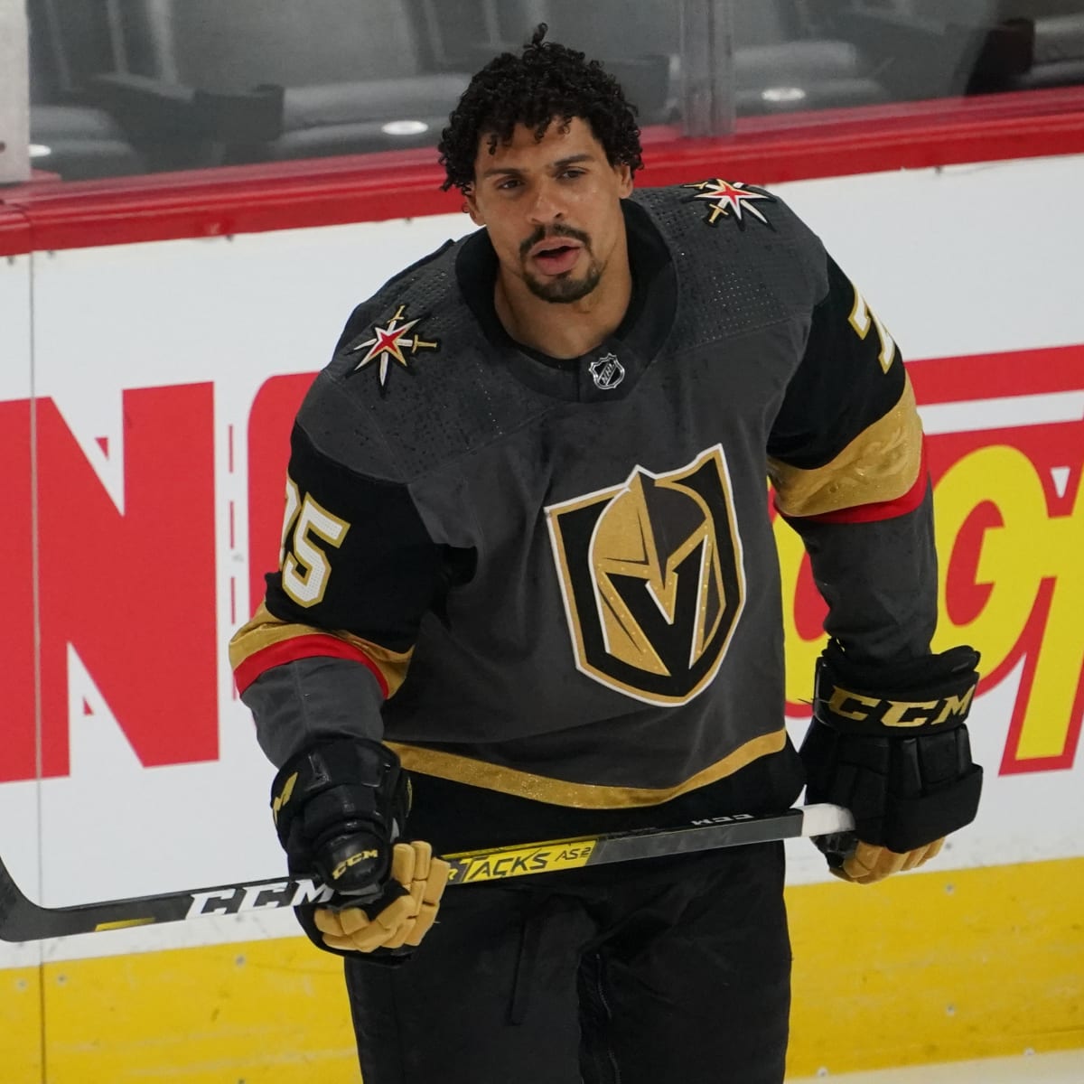 Ryan Reaves Suspended Two Games by NHL DoPS - Colorado Hockey Now