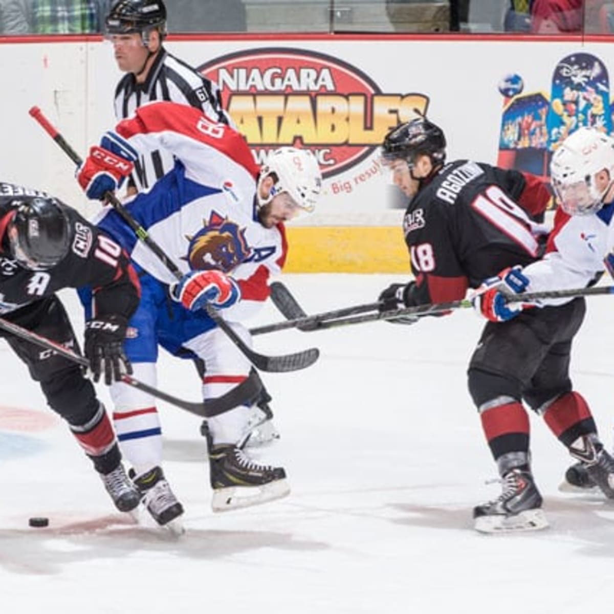 AHL Hamilton Bulldogs (Edmonton Oilers Affiliate) Jersey