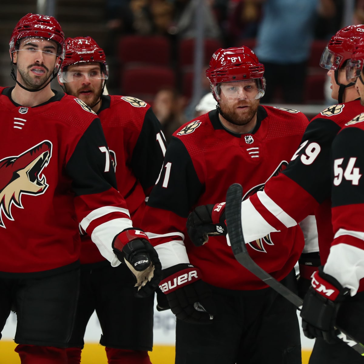 The Arizona Coyotes look to start fresh with a talented young core