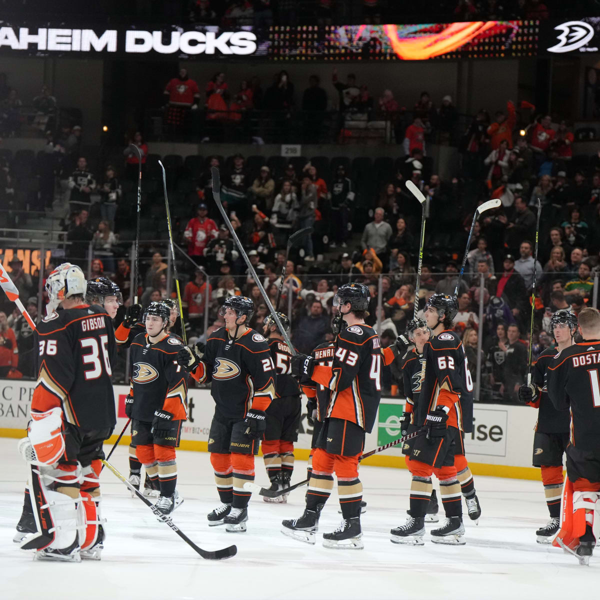 Anaheim Ducks on X: Introducing your 2023 Anaheim Ducks draft class! Learn  More:  #FlyTogether