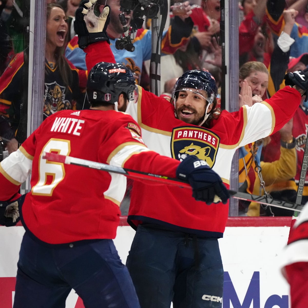 BattleCats: Florida Panthers Tested Going Into Stanley Cup Final