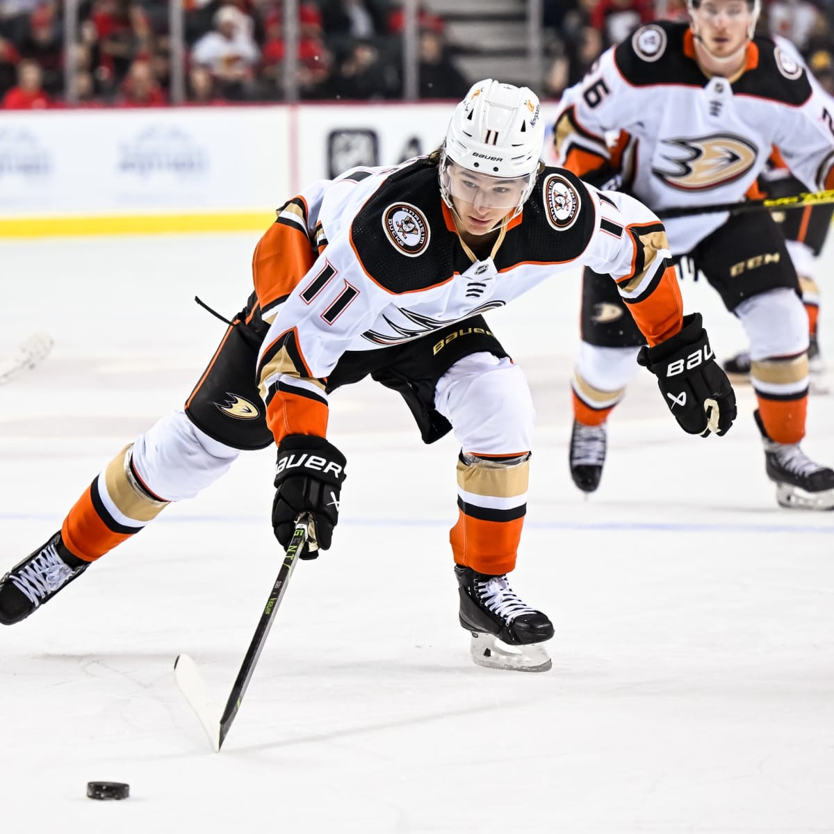Anaheim Ducks: Troy Terry's New Contract Protects the Ducks