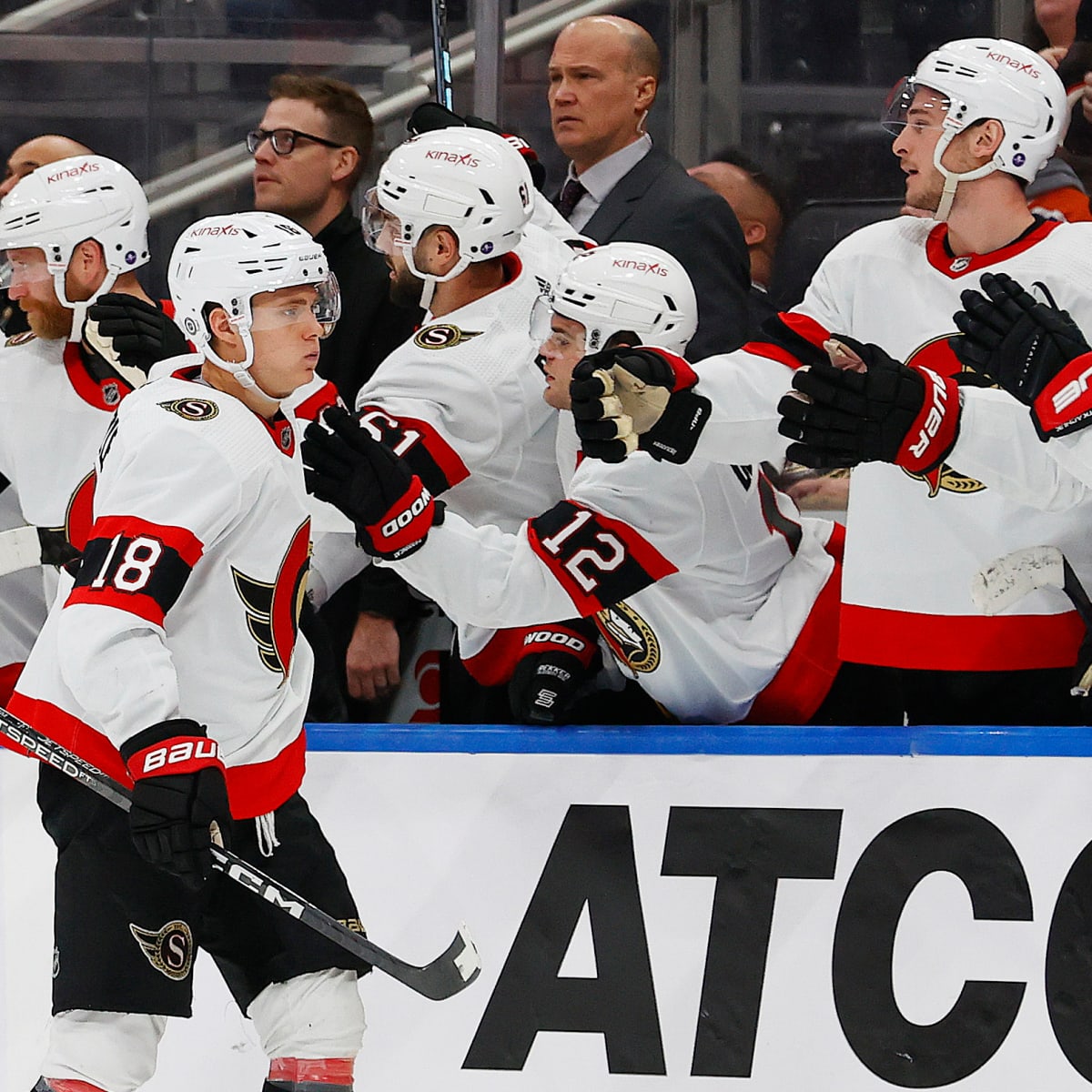 Senators' Record Sale Price Shows NHL's Strength, Team's Upside