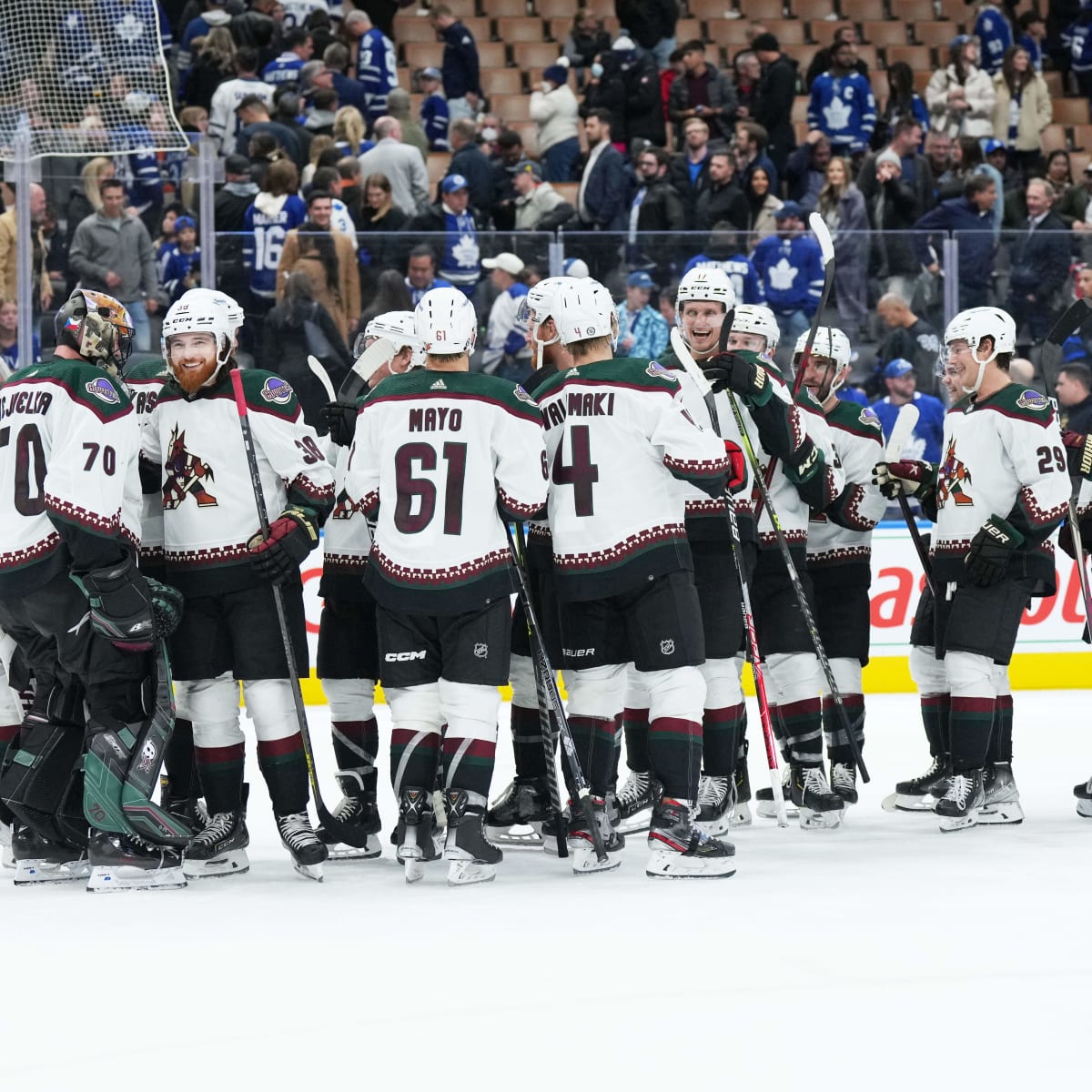 the athletic arizona coyotes