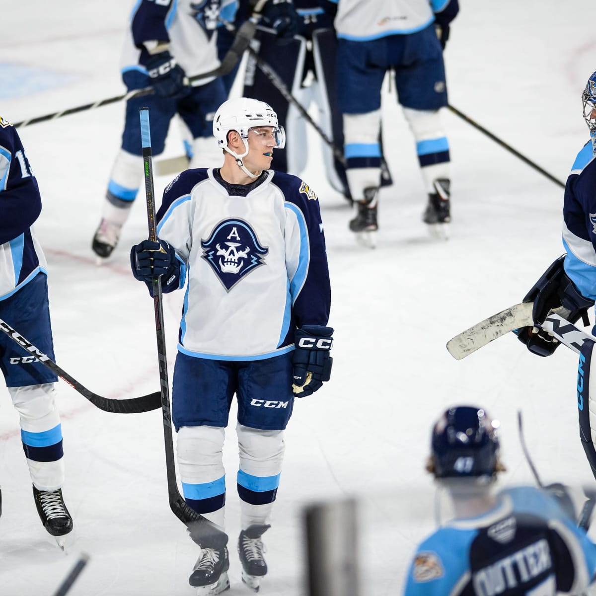 Admirals' Askarov named AHL Player of the Week