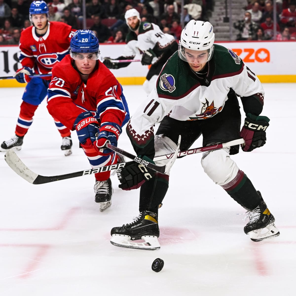 Coyotes' Prospect Dylan Guenther set for Memorial Cup Final - The