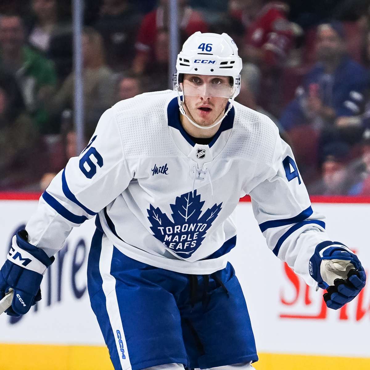 Toronto Maple Leafs Re-Sign Alex Steeves to Two-Way Contract - The Hockey News American Hockey League