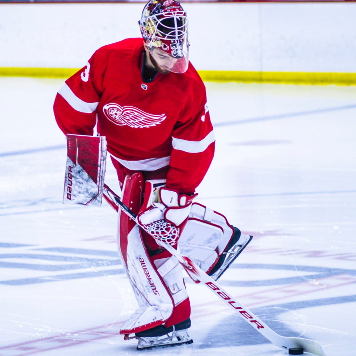 Rookie Elmer Soderblom among Detroit Red Wings' 23-man roster