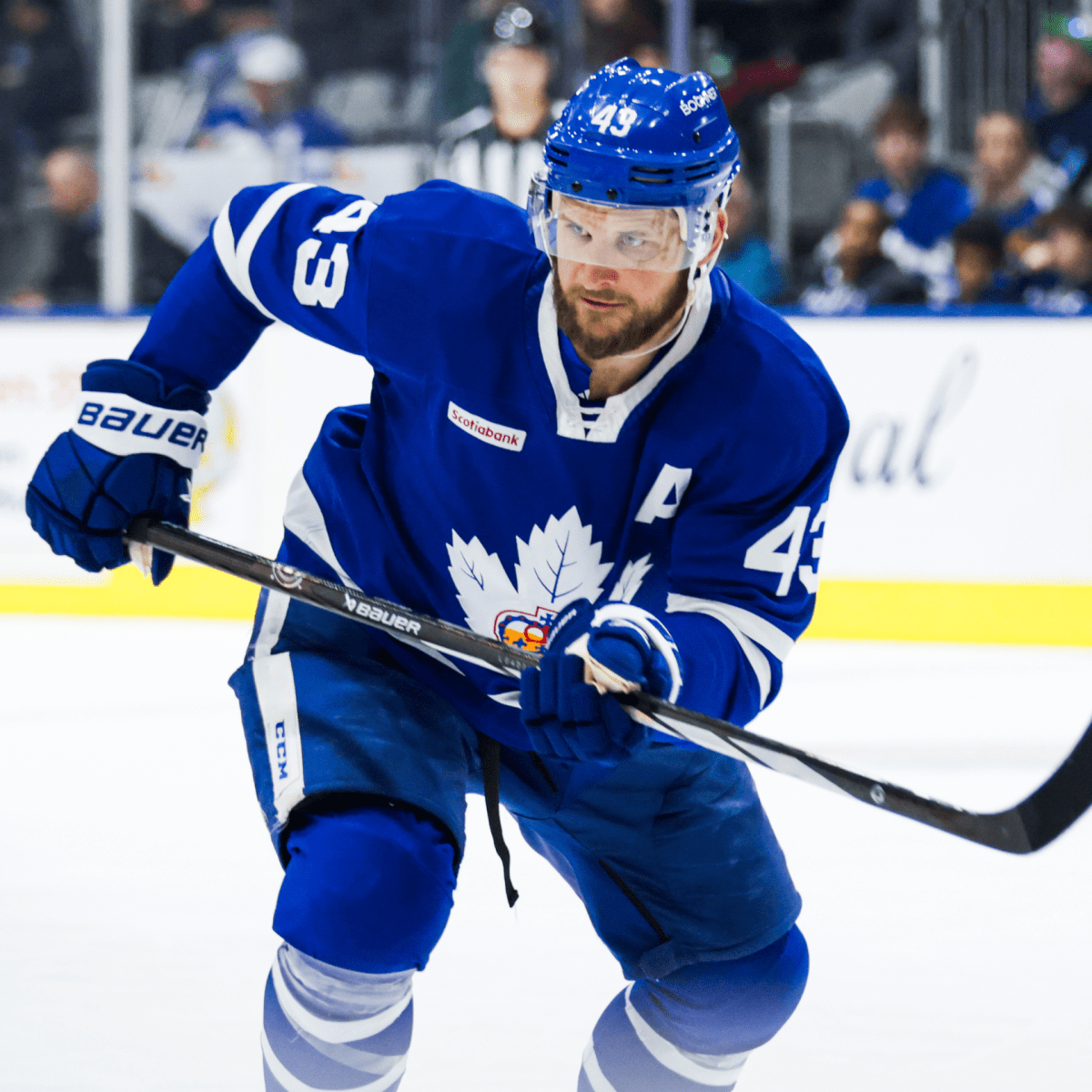 Why the Maple Leafs Are Reportedly Bringing Back Kyle Clifford on a One-Year  Deal With the Marlies - The Hockey News Toronto Maple Leafs News, Analysis  and More