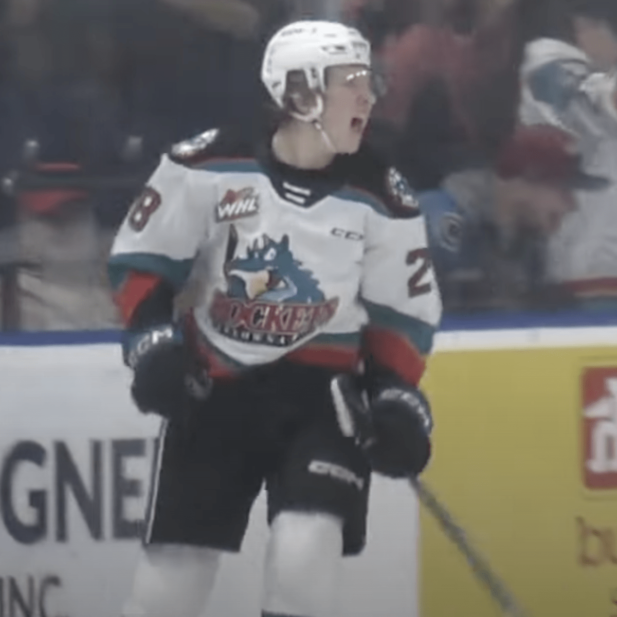Can Washington Capitals Prospect Andrew Cristall Be A Top Six NHL