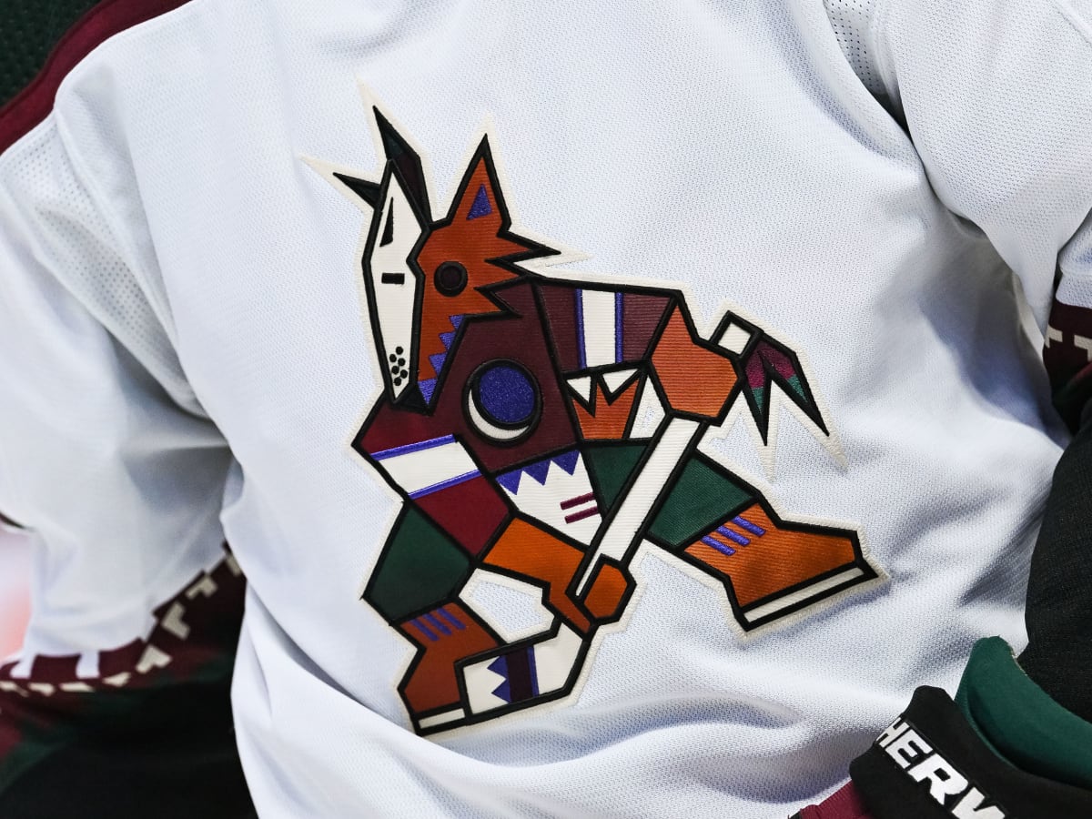 Arizona Coyotes take next step in finding a new home as Tempe City Council  agrees for a public referendum