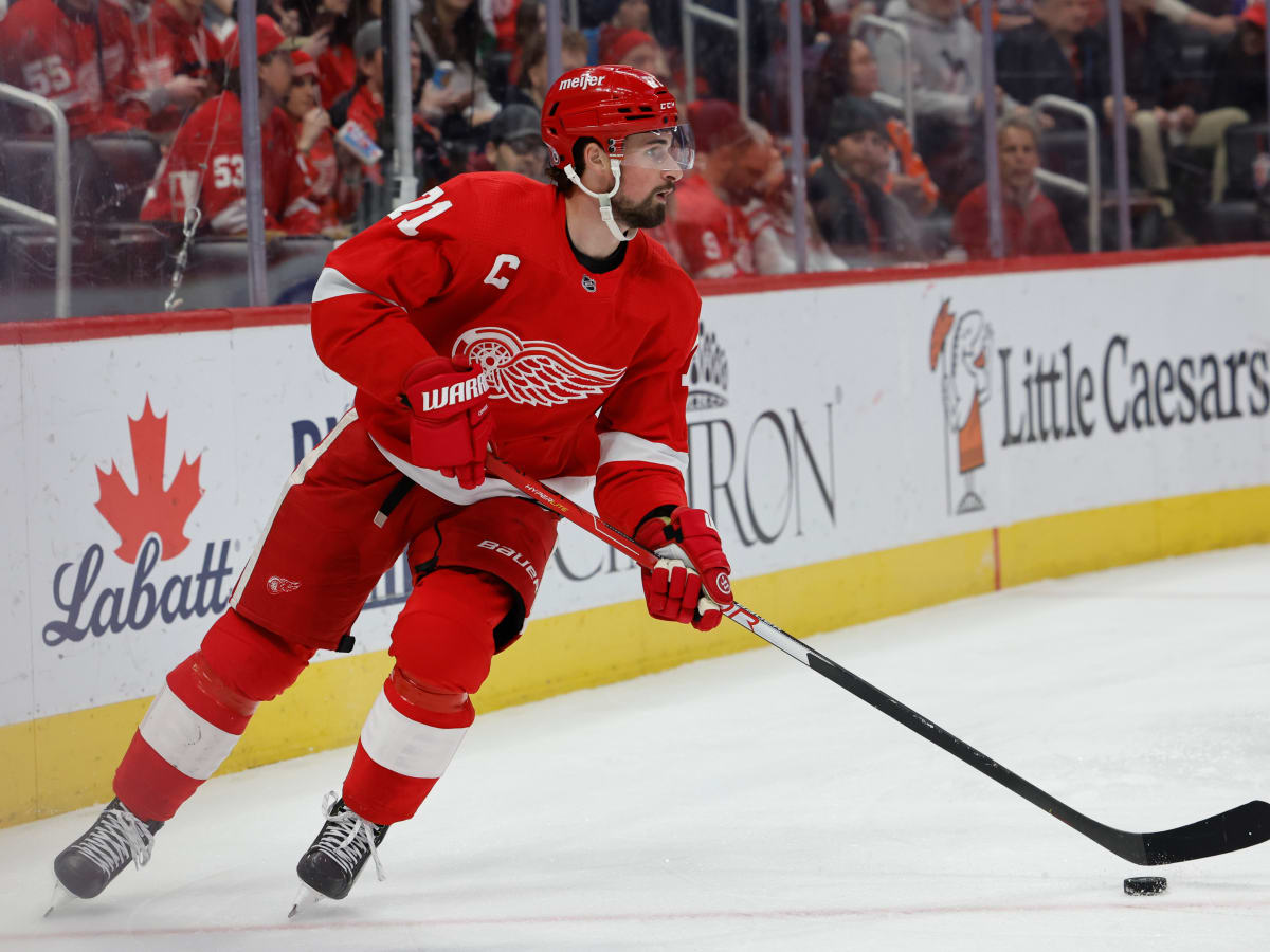 2023-24 Fantasy Hockey - Detroit Red Wings Overview - Fantasy