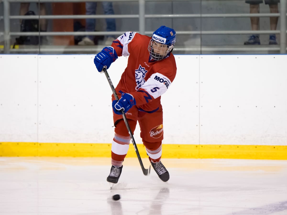 Stanislav Svozil: 2021 NHL Draft Prospect Profile: Czech Defender With Lots  of Pro Experience - All About The Jersey