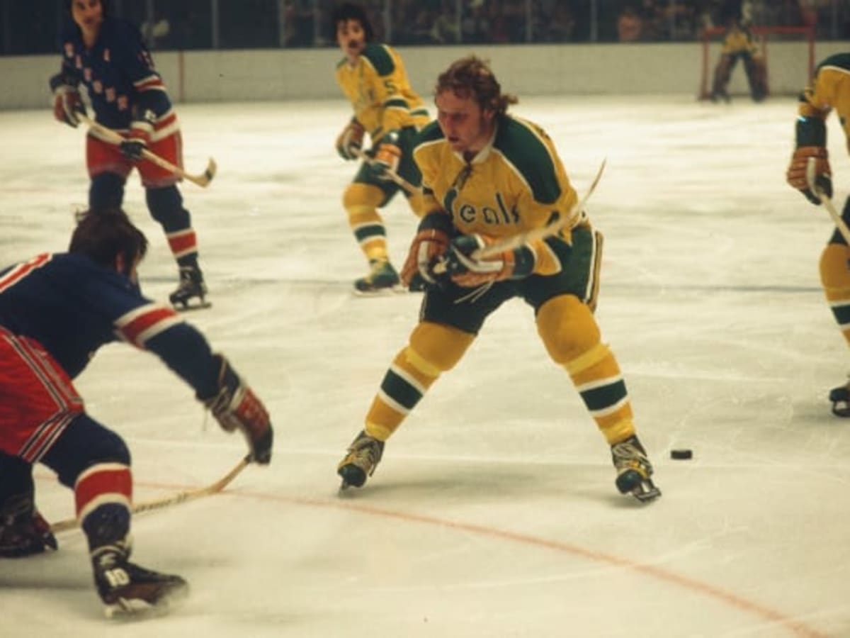 California Golden Seals Concept. How can you go wrong with this color  scheme? : r/hockey
