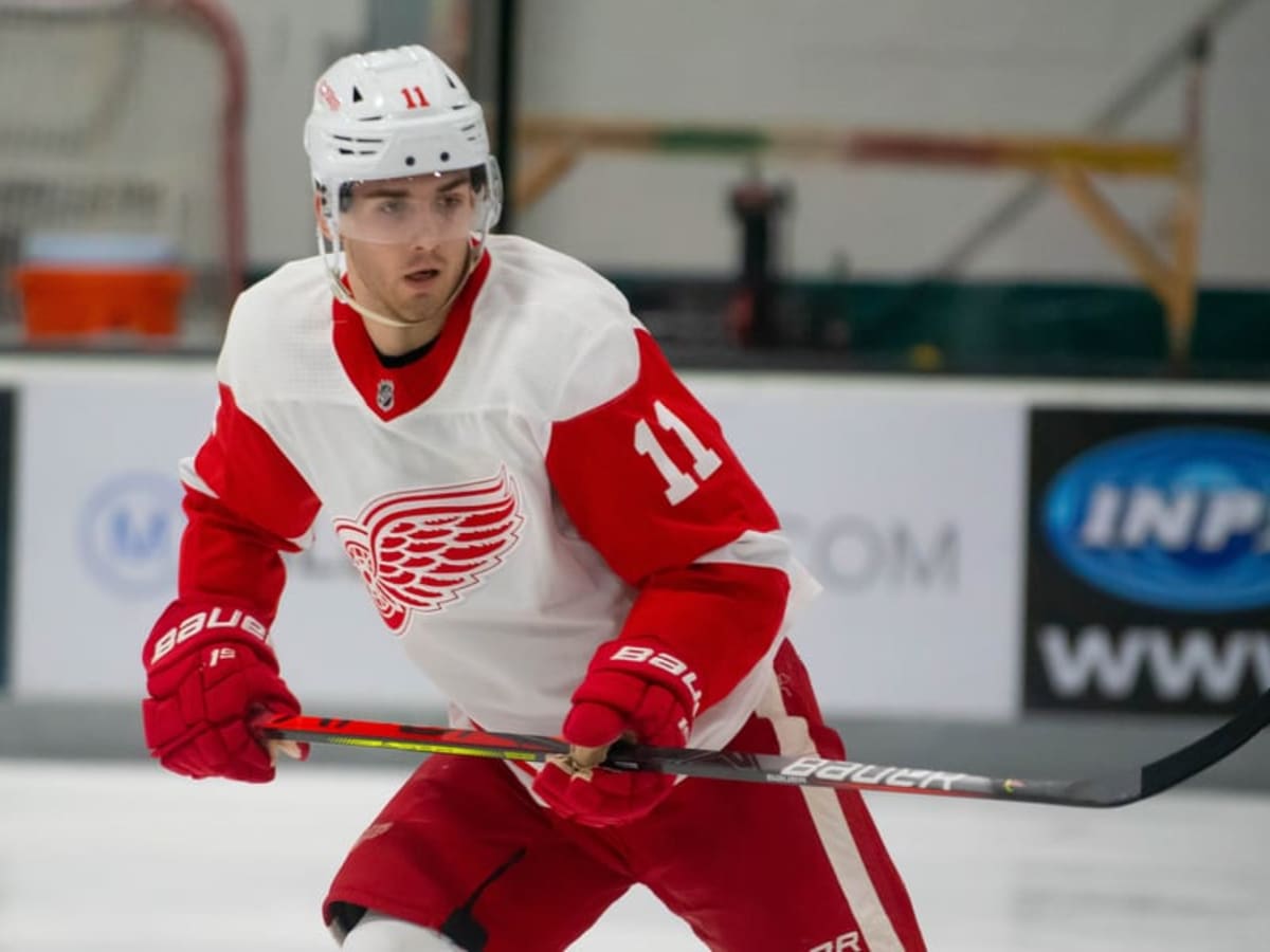 Filip Zadina: Talking first pro year, development and his goals for this  season - The Hockey News