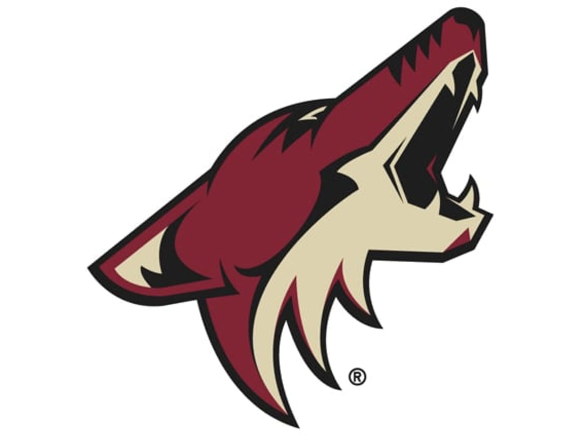 My Ideal NHL Jersey Redesigns - Coyotes Alternate Added - Page 3