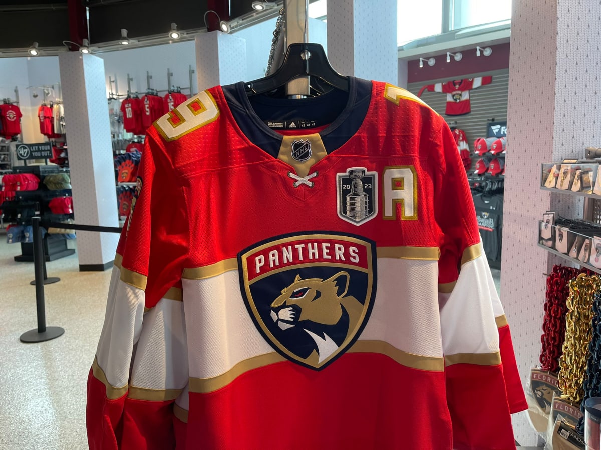 The Panthers sweaters for this year with the ad patch, All-Star patch, and captain  patch. : r/hockey