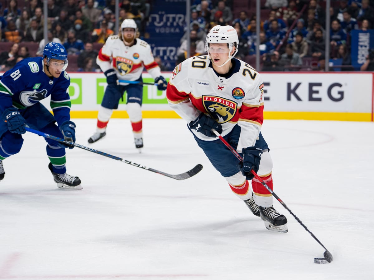 Florida Panthers Pro Hóquei