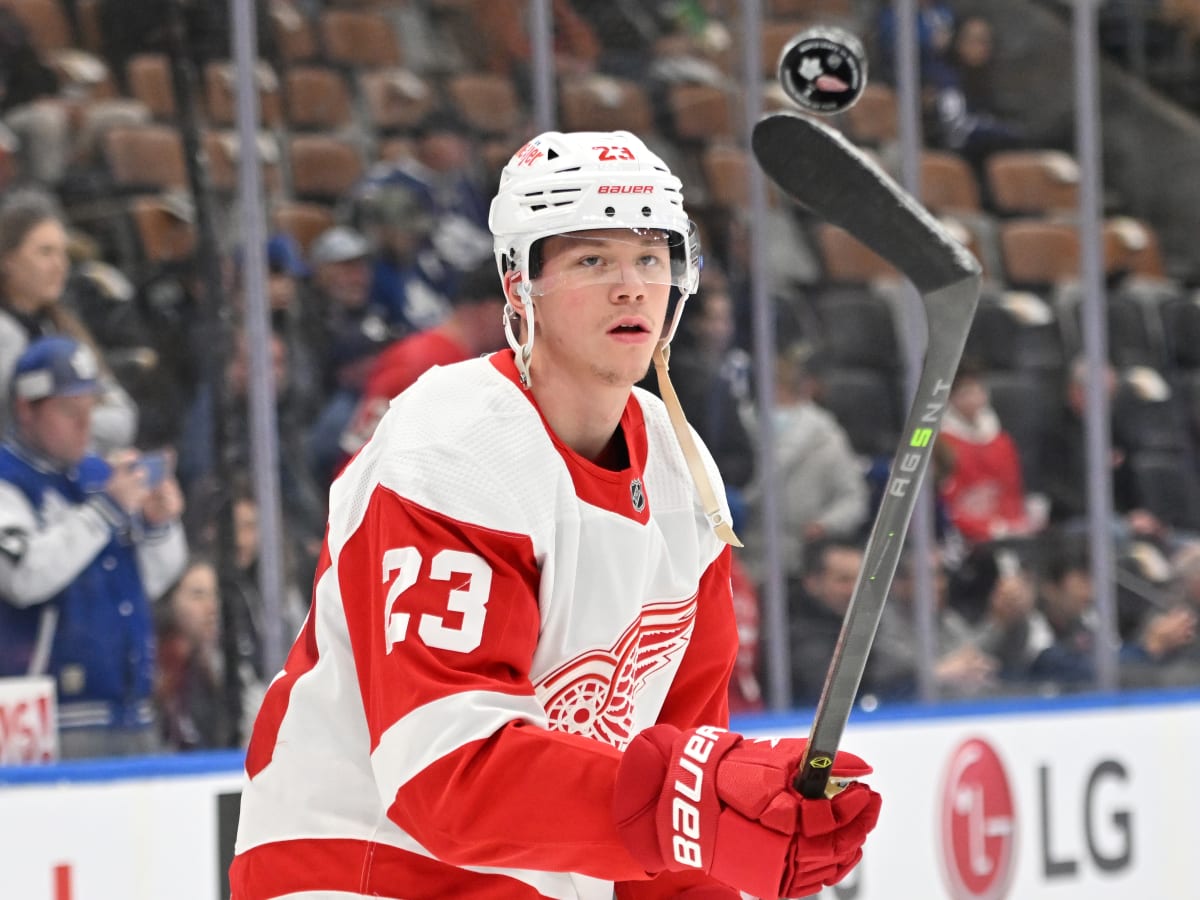 He wants the pressure': Lucas Raymond is built for the Red Wings' road  ahead - The Athletic