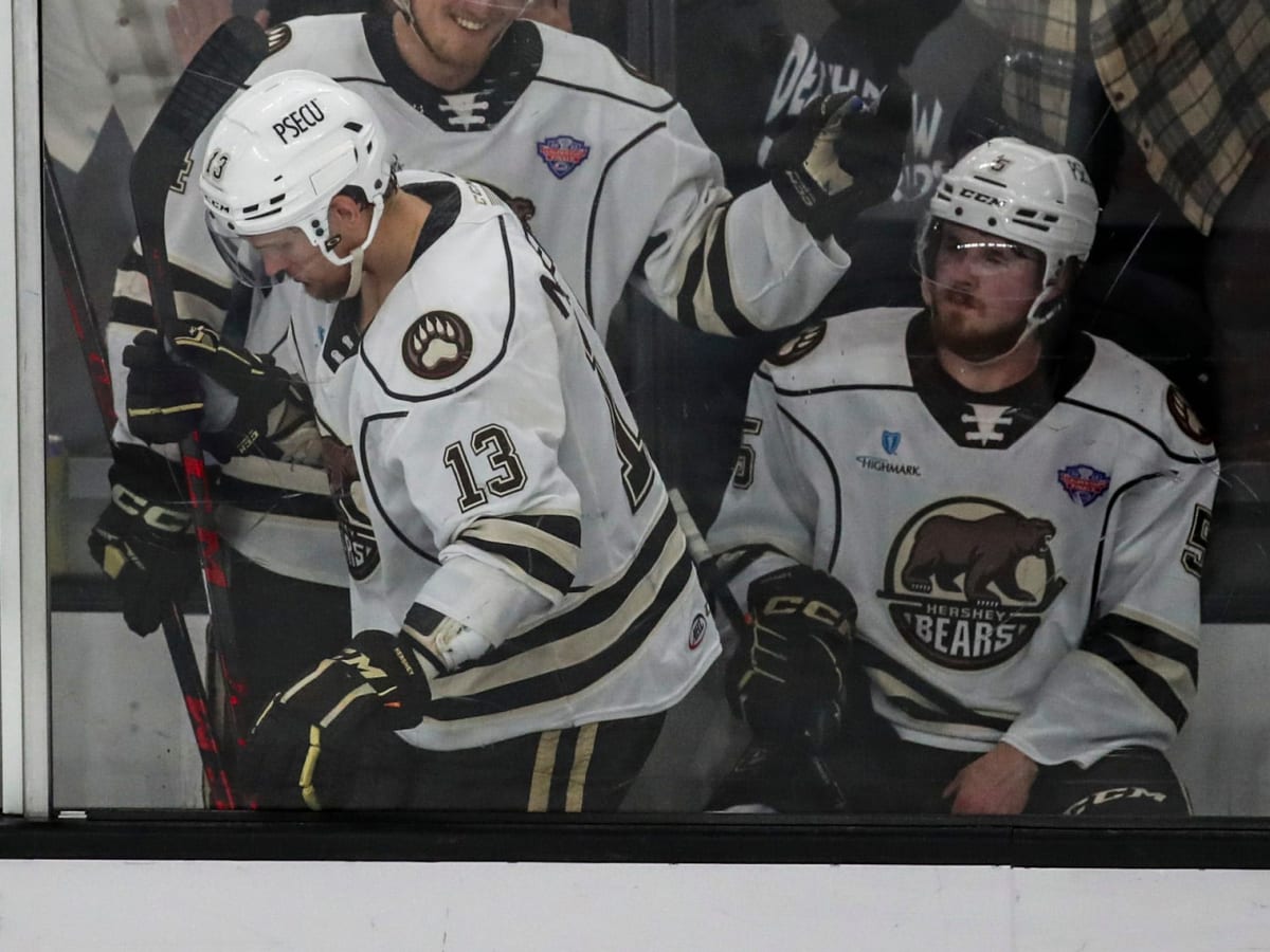 Ahl hershey bears - Gem