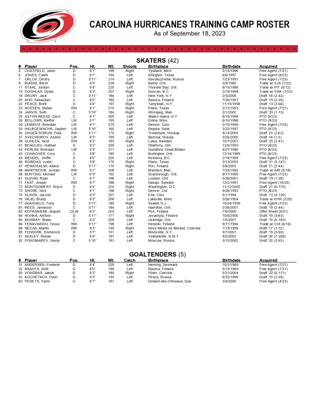 Canes Announce Training Camp Schedule And Roster