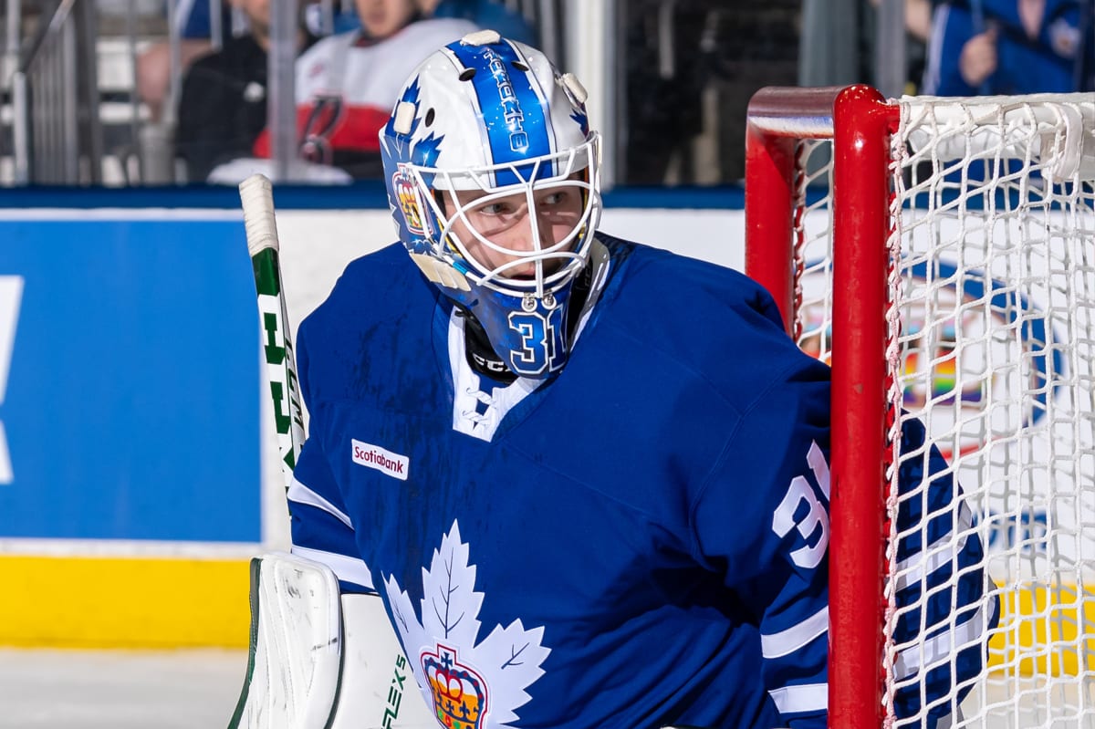 Toronto Maple Leafs Goaltending Update: Is Dennis Hildeby The Solution ...