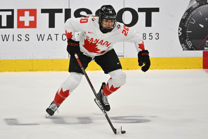 Who Could (And Should) PWHL Teams Target In Free Agency - The Hockey ...